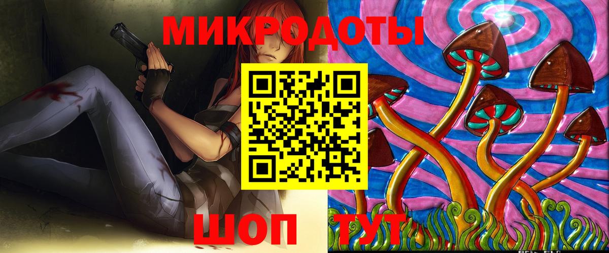 Галлюциногенные грибы Psilocybine cubensis Томск