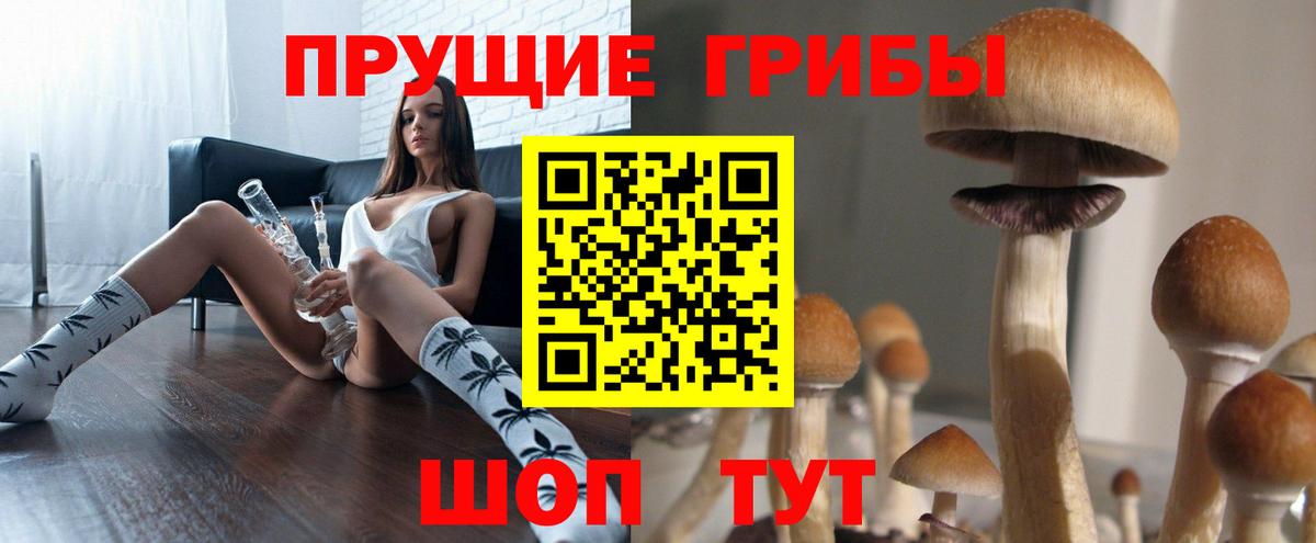 Томск  Псилоцибиновые грибы Cubensis  Вход с VPN 